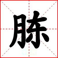 胨