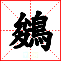 鵕