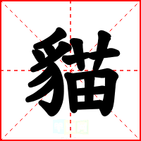 貓