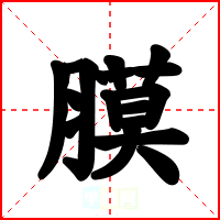 膜