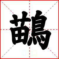 鶓