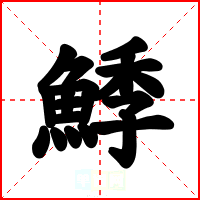 鯚