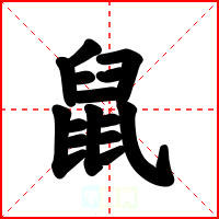 鼠
