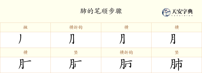 肺
