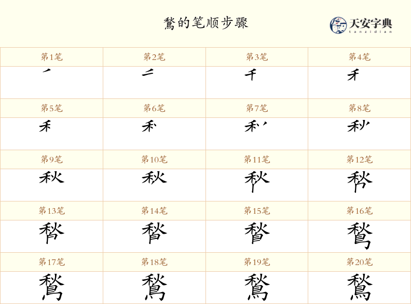 鶖