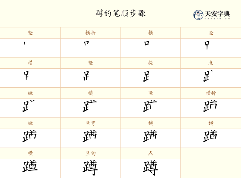 蹲