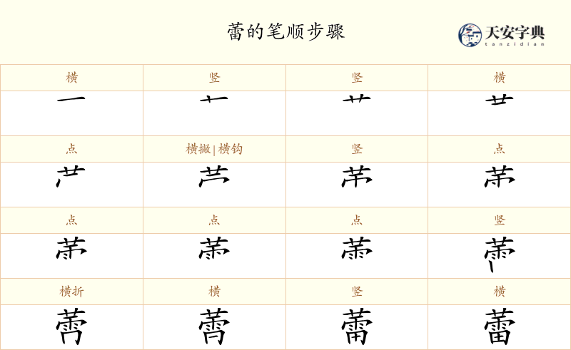 蕾