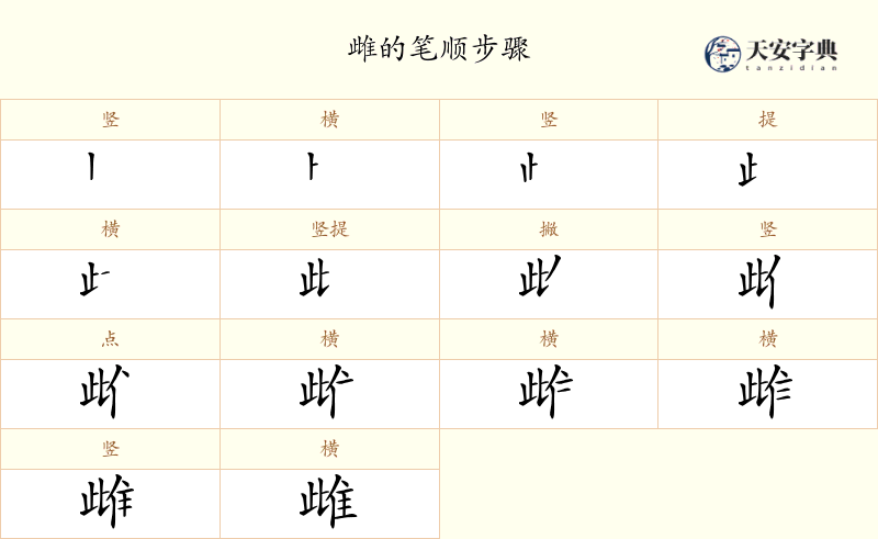 雌