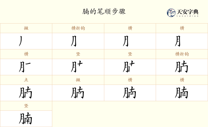 腩