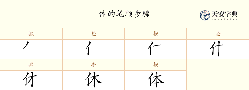 体