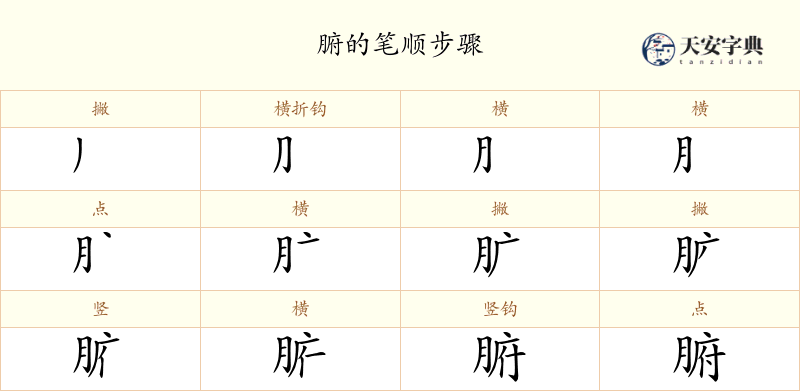 腑