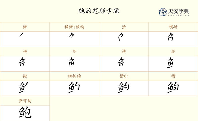 鲍