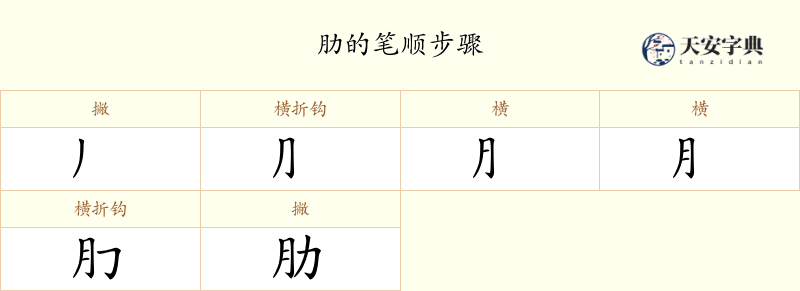 肋