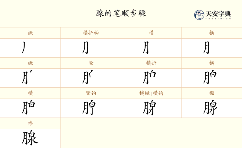 腺