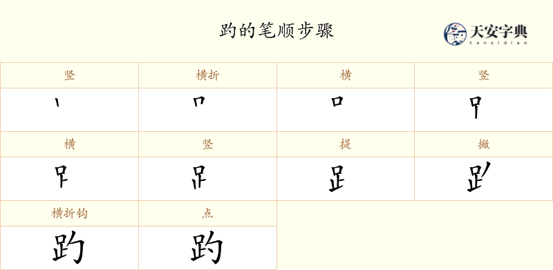 趵