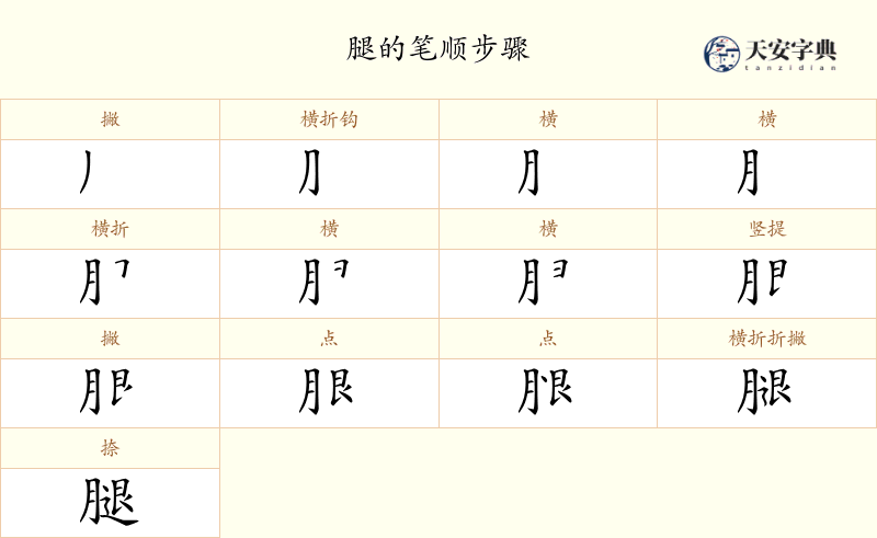 腿