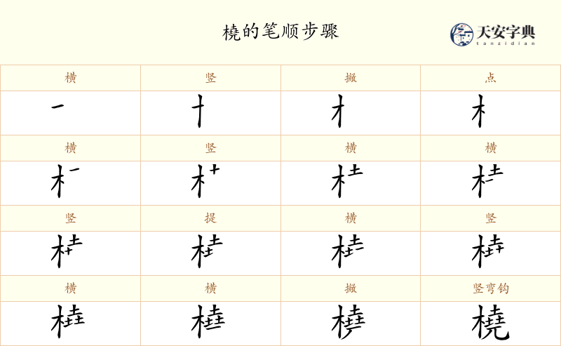 橈