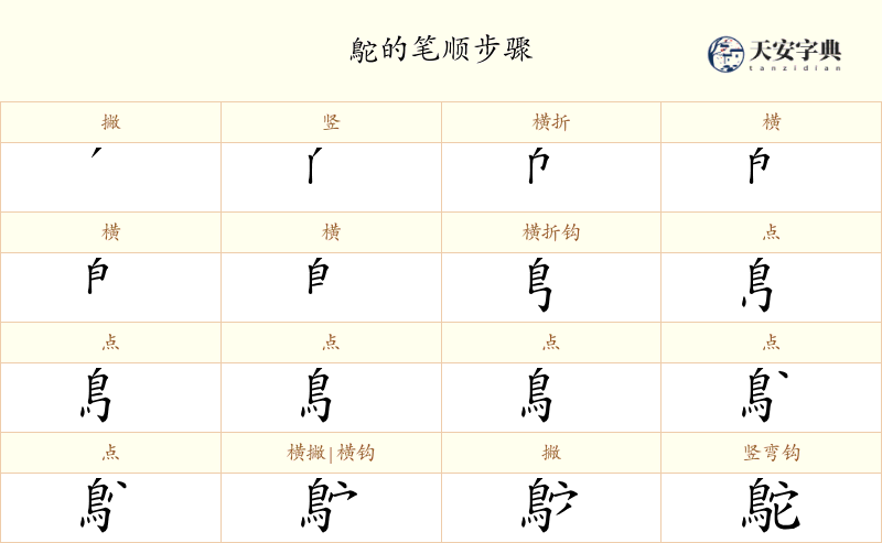 鴕