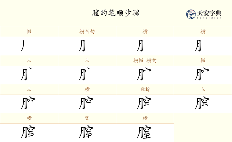 膣