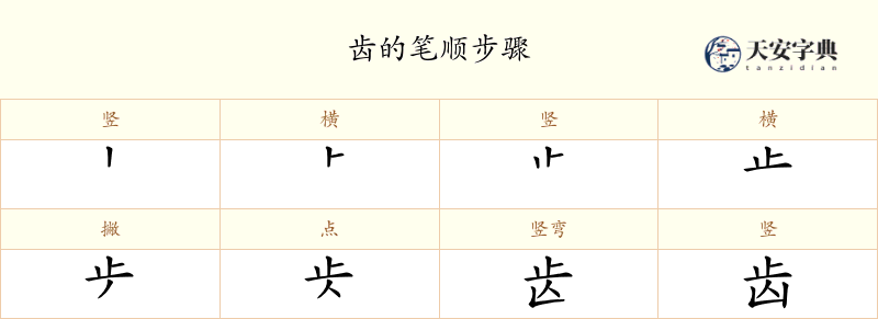 齿