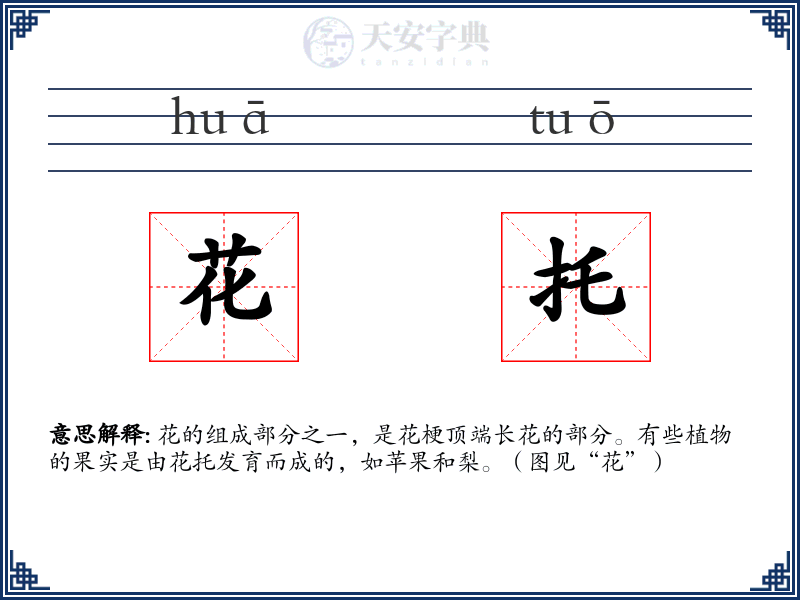 花托