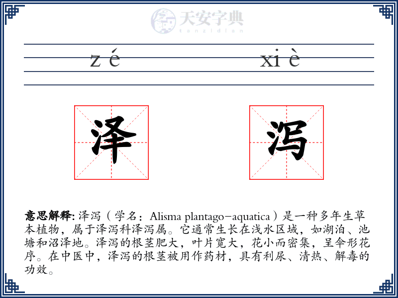 泽泻