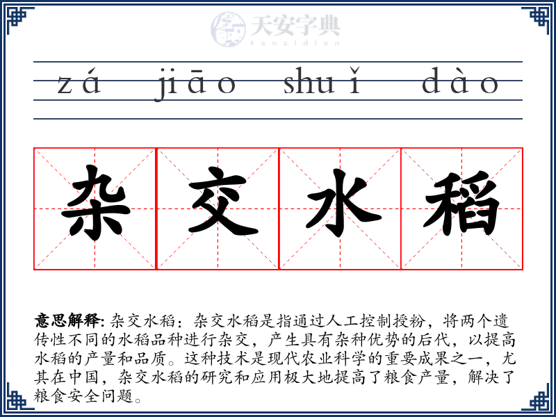 杂交水稻