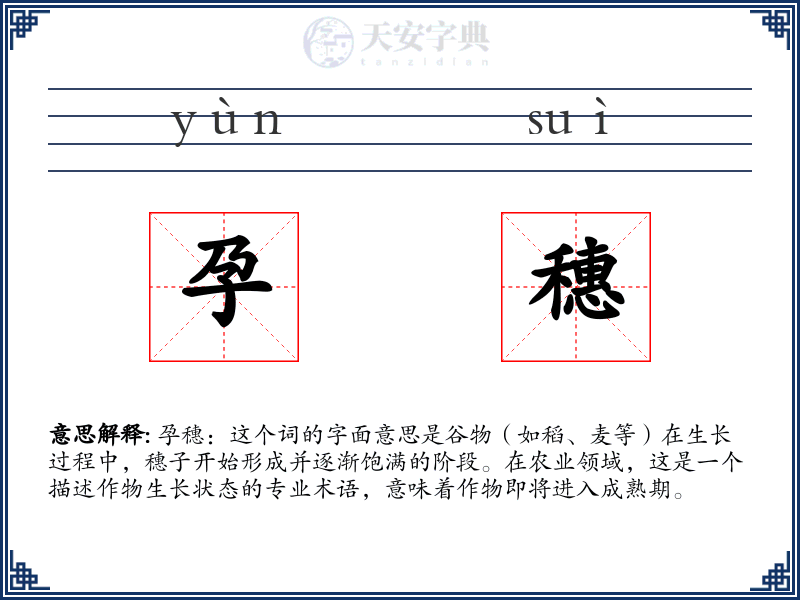 孕穗