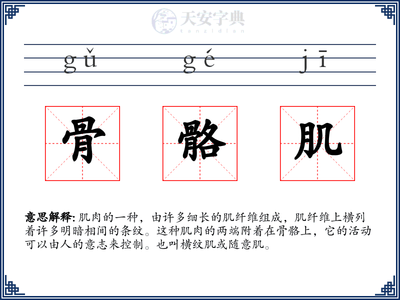 骨骼肌