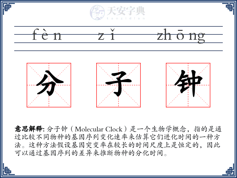 分子钟
