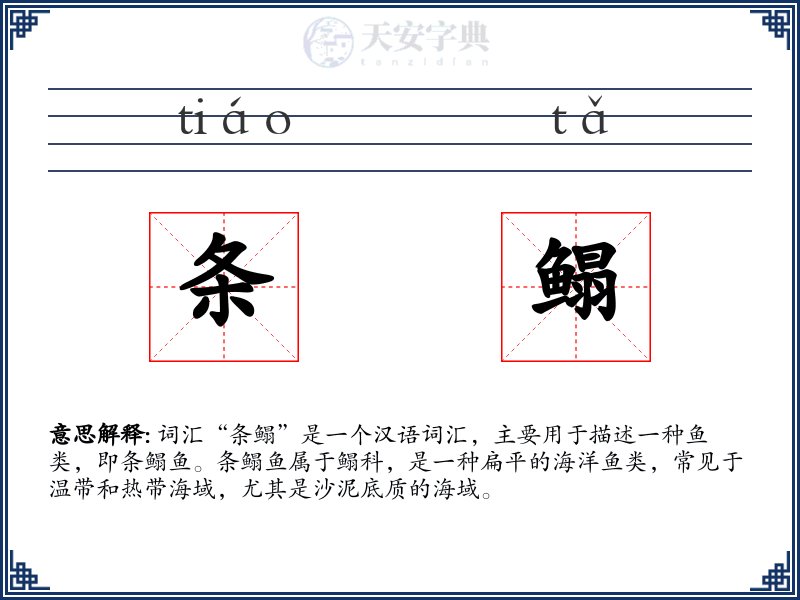 条鳎