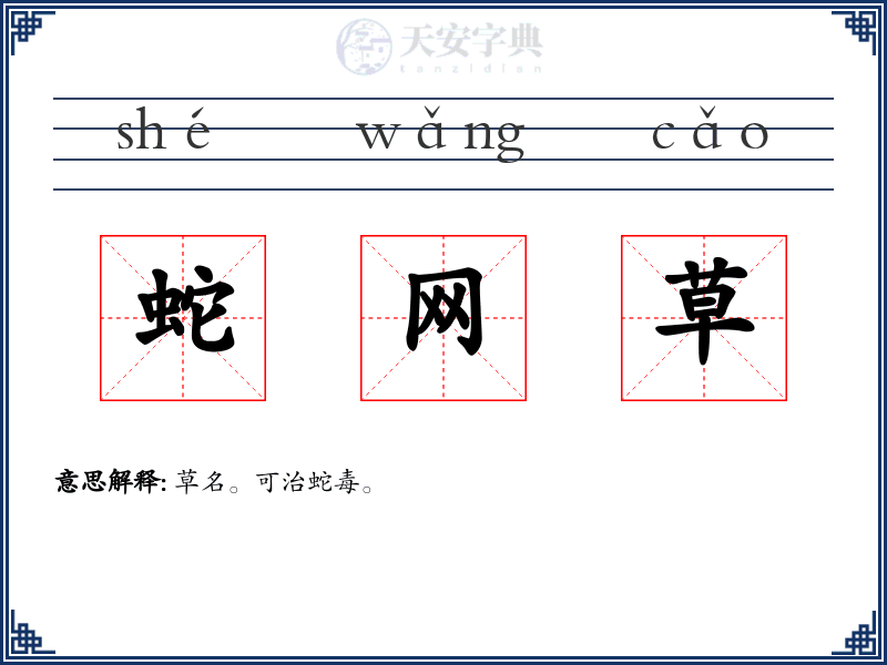 蛇网草