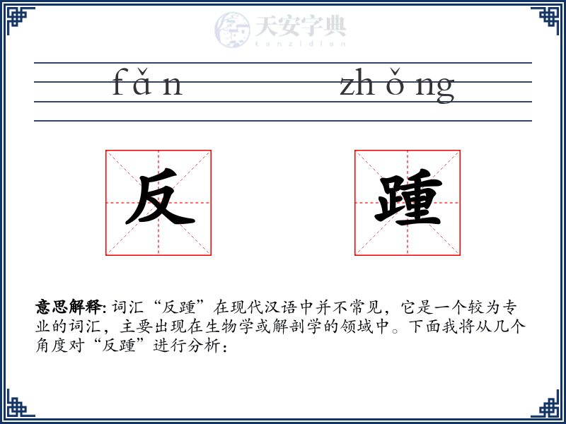 反踵