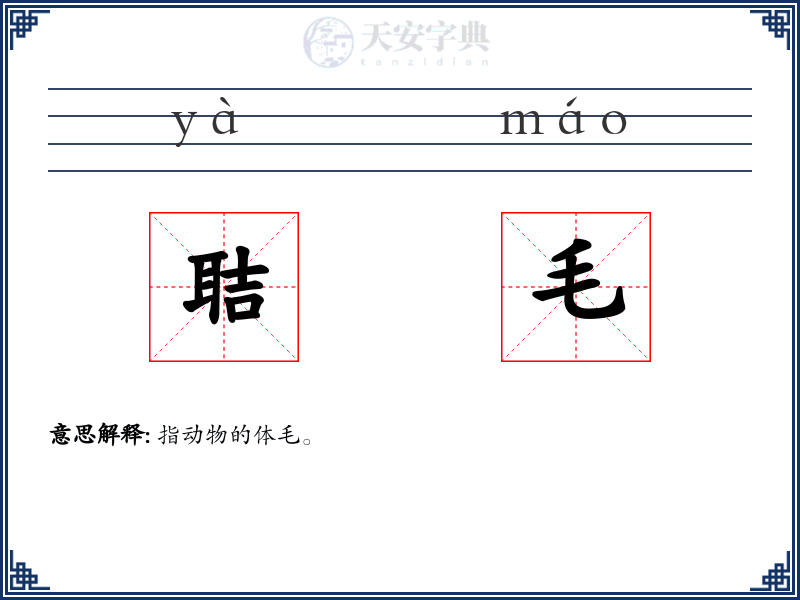 聐毛