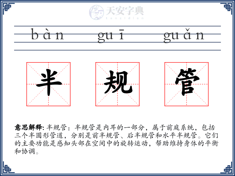 半规管