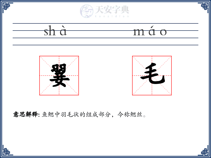 翣毛
