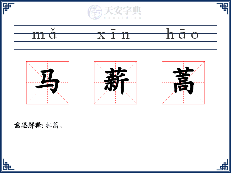 马薪蒿