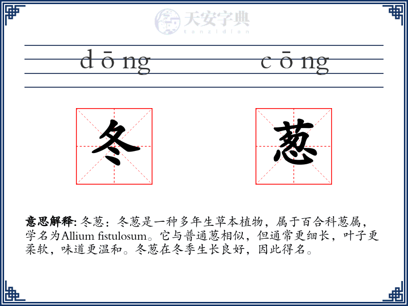 冬葱