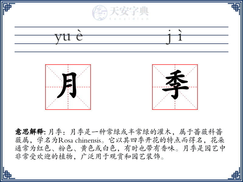 月季