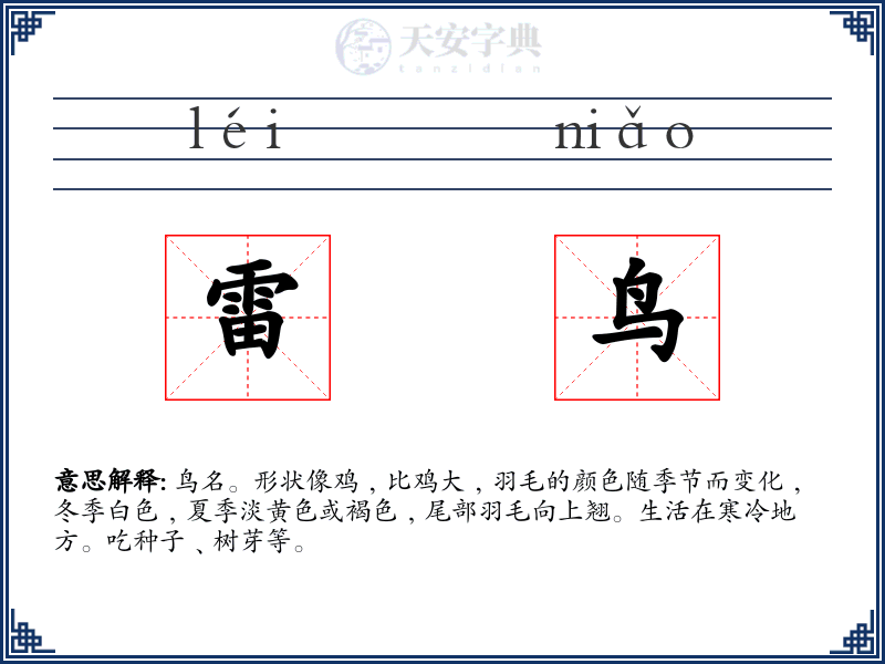 雷鸟