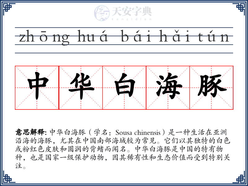 中华白海豚