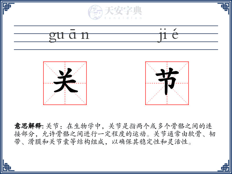 关节