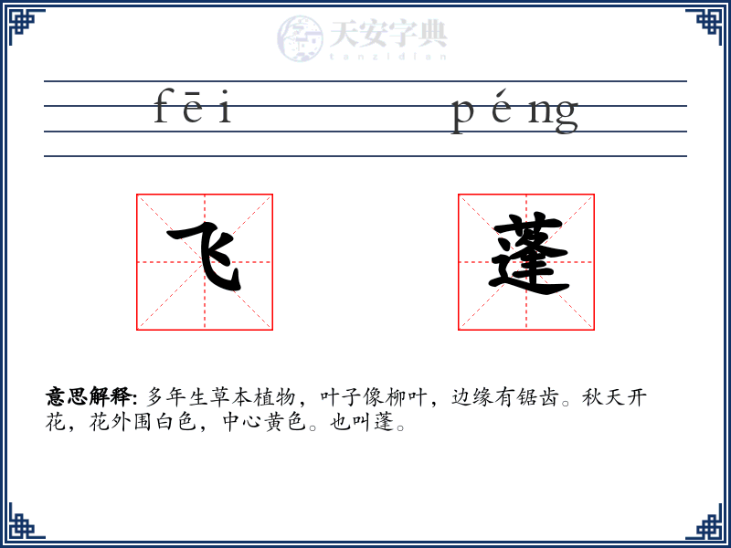 飞蓬