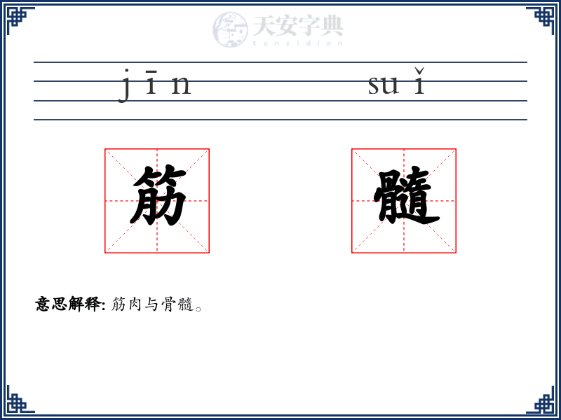 筋髓