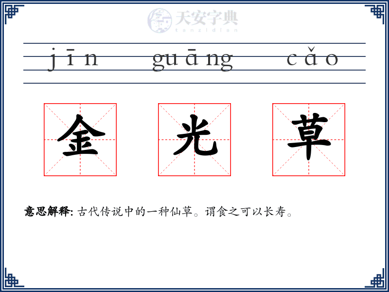 金光草
