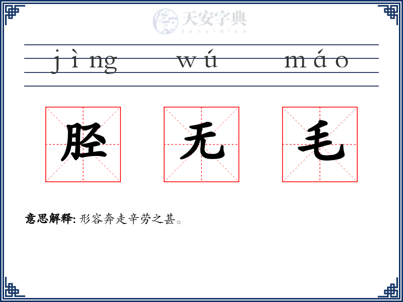 胫无毛