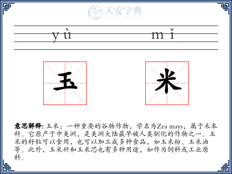 玉米