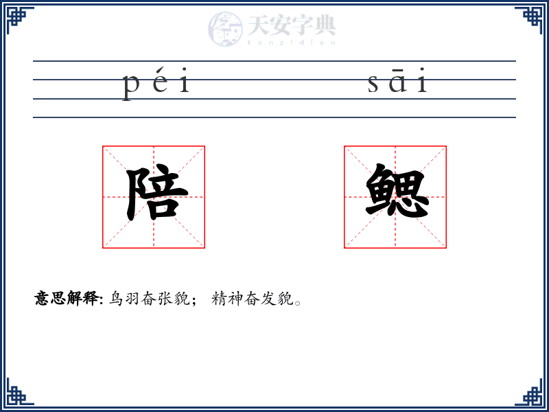 陪鳃