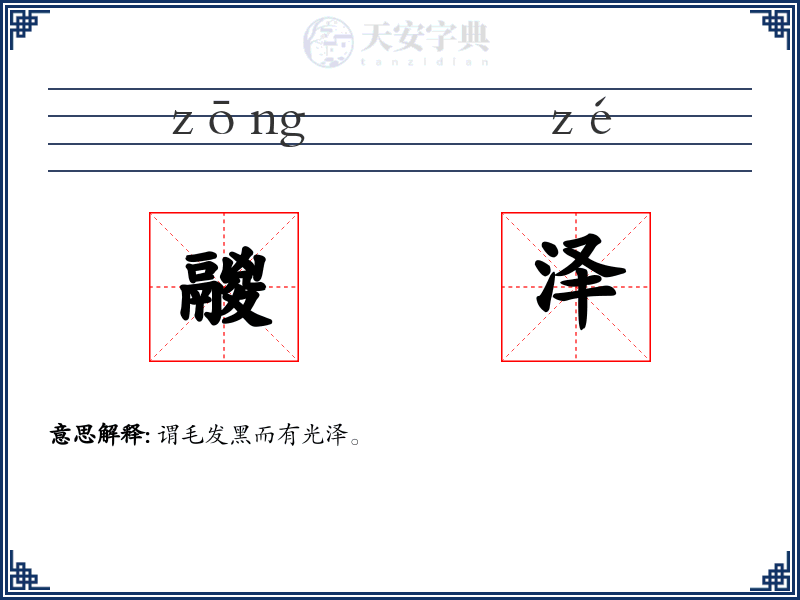 鬷泽
