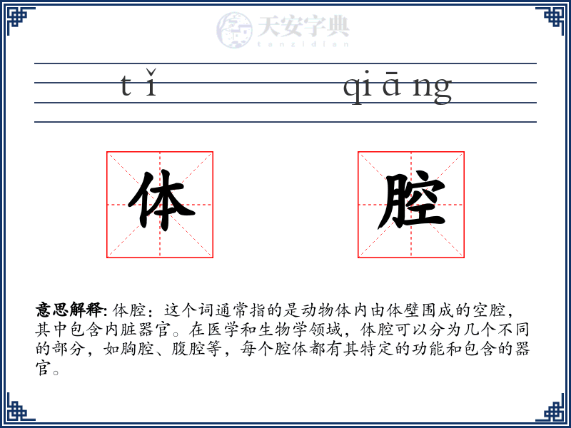体腔